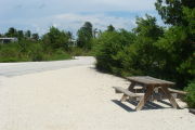 Photo: 017, View looking out from back of site to campground road. RV and bushes in background.