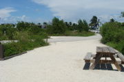 Photo: 019, View looking out from back of site to campground road. RV and bushes in background.