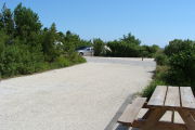 Photo: 020, View looking out from back of site to campground road. Bushes, car and tent in background.