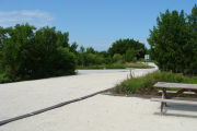 Photo: 023, View looking out from back of site. Picnic table and park loop visible.
