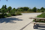 Photo: 025, View looking out from back of site to campground road. Bushes, RV and Bathhouse in background.