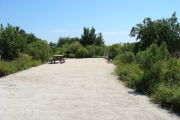 Photo: 026, View of gravel campsite with picnic table and grill. Bushes and trees in background.