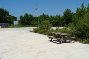 Photo: 026, View looking out from back of site to campground road. Bushes and electric box in background.