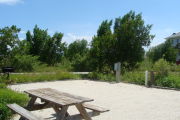 Photo: 028, View of gravel campsite with picnic table and grill. Bushes and trees in background.