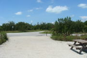 Photo: 028, View looking out from back of site to campground road. Bushes, walkway and Bathhouse in background.