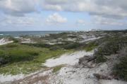 A westward view of Topsail Hill State Parkâs mature dune ecosystem with native dune vegetation and the Gulf of Mexico in the background.