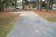 A view of RV site four at Topsail Hill Preserve State Park looking towards the back of the site.  A picnic table is on a concrete pad to the left of the site and utility hook up boxes are to the right.