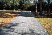 A view of RV site eight at Topsail Hill Preserve State Park looking towards the back of the site.  A picnic table is on a concrete pad to the left of the site.