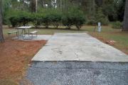 A view of RV site twelve at Topsail Hill Preserve State Park looking towards the back of the site.  A picnic table is next to a concrete pad to the left of the site and utility hook up boxes are to the right of the site.