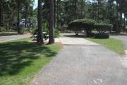 A view of RV site seventeen at Topsail Hill Preserve State Park looking towards the back of the site.  A picnic table is on a concrete pad to the left of the site and utility hook up boxes are to the right of the site.  There are two pine trees in front of the picnic table.