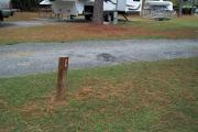 A view of RV site twenty-five at Topsail Hill Preserve State Park showing the site marker.  An RV at another site and a small wooden bridge can be seen in the background.