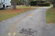 A view of RV site twenty-five at Topsail Hill Preserve State Park looking towards the back of the site.  A picnic table is on a concrete pad to the left of the site.  An RV at a neighboring site can be seen to the left.