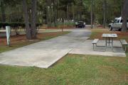 A view of RV site twenty-five at Topsail Hill Preserve State Park looking towards the front of the site.  A picnic table is on a concrete pad to the right of the site and utility hooks ups are to the left of the site.