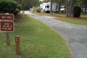 A view of RV site twenty-six at Topsail Hill Preserve State Park showing the site marker, a picnic table to the right of the site, and utility hook up box to the left of the site.