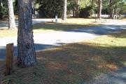 A view of RV site twenty-seven at Topsail Hill Preserve State Park showing the site marker and a picnic table next to the site.