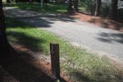 A view of RV site thirty at Topsail Hill Preserve State Park showing the site marker to the left of the site.
