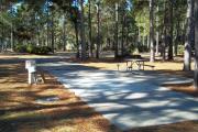 A view of RV site thirty-three at Topsail Hill Preserve State Park looking towards the front of the site.  A picnic table is on a concrete pad to the right of the site and the utility hook ups are to the left.
