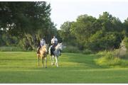 Mother and daughter horseback riding along lake shore.