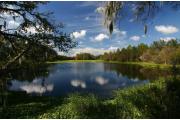 A stunning view of one of the many conifer bordered lakes at Alafia River State Park.