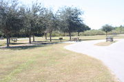 Looking at campsite #1 from site exit â Ground cover is green and brown grass, with patches of grey soil.  Small oak trees providing sporadic shade near the back of site.