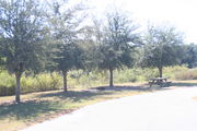 Looking at campsite #3 from site exit â Ground cover is green and brown grass, with patches of grey soil.  Small oak trees providing sporadic shade near the back of site.