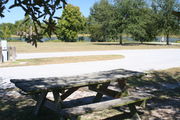 At the back of campsite #3, looking towards campground road - Ground is scattered with green grass and grey soil.  Partial shade is provided by a small oak tree.  Partial view of Lake Alafia and its tree lined shore.