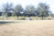 Looking at campsite #5 from opposite side of road â Ground cover is green and brown grass, with patches of grey soil.  Small oak trees providing sporadic shade near the back of site.  Picnic table, circular ground grill and hook up facilities are visible.