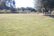 Looking at campsite #6 from lake side â Ground cover is green and brown grass, with a view of a green trees along side of campsite.  Two 6â x 6â posts mark an area for campers to tie their horses.