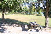 In campsite #6, looking towards Lake Alafia - Ground is scattered with green grass and grey soil, picnic table is nestled in the partial shade is of a small oak tree.