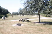 From the side of campsite #8 - Ground is scattered with green and brown grass, partial shade is provided by small oak trees.  Far left is electric hookup and water spigot, surrounded by a protective wooden enclosure.