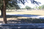 Looking from campsite #10 to across campground road â Ground cover is green and brown grass.  Two 6â x 6â posts mark the area for campers to tie their horses.