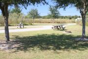 At the back of campsite #14, looking towards campground road - Ground is scattered with green grass.  Partial shade is provided by small oak trees.  Picnic table, circular ground grill are visible in far right side.