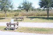 Looking at campsite #14 from opposite side of road â Ground cover is green and brown grass.  Small oak trees providing sporadic shade near the back of site.