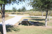 At the back of campsite #15 looking towards road â Ground cover is green and brown grass with patches of grey soil.  In the center of photo is a picnic table and circular ground grill.