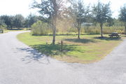 From the side of campsite #15 - Ground is scattered with green and brown grass, partial shade is provided by small oak trees.  Picnic table and circular ground grill are visible in far right.