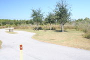 View of campsite #16 from site entry â This is a pull-through campsite, with an asphalt pad for camping units.  On the left of the asphalt pad is the electric hookup and water spigot, surrounded by a protective wooden enclosure.  On the right are a picnic table and a circular ground grill.  Small oak trees provide periodic shade.