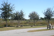 Looking at campsite #16 from opposite side of road â Ground cover is green and brown grass, with patches of grey soil.  Small oak trees providing sporadic shade near the back of site.  Far right of the photo is electric hookup and water spigot.  Picnic table and circular ground grill are visible.