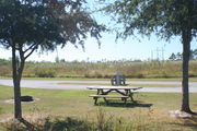 At the back of campsite #16, looking towards campground road - Ground is scattered with green and brown grass and grey soil.