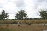 Looking from the side of campsite #17 â Ground cover is green and brown grass and grey soil.  Small oak trees are scattered on the site.  Brown and green foliage lines the back and side edges of the campsite.