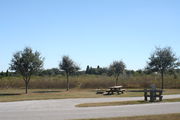 Looking at campsite #18 from opposite side of road â Ground cover is green and brown grass.  Small oak trees providing sparse shade near the back of site.