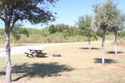 At the back of campsite #18, looking towards campground road - Ground is scattered with green grass.  Partial shade is provided by small oak trees.  Picnic table, circular ground grill are visible in the center of photo.