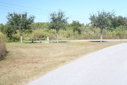 From the side of campsite #19 - Ground is scattered with green and brown grass, limited shade is provided by small oak trees.  Picnic table and circular ground grill are visible in far left.