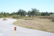 View of campsite #20 from site entry â This is a pull-through campsite, with an asphalt pad for camping units.  On the left of the asphalt pad is the electric hookup and water spigot, surrounded by a protective wooden enclosure.  On the right are a picnic table and a circular ground grill.  Small oak trees provide sparse shade.