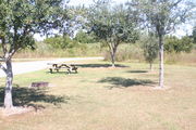 At the back of campsite #20, looking towards campground road - Ground is scattered with green and brown grass.  Far left of the photo are a picnic table and a circular ground grill.