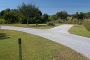 View of campsite #21 from site entry â This is a back-in campsite, with an asphalt pad for camping units.  On the right of the asphalt pad is the electric hookup and water spigot, surrounded by a protective wooden enclosure.  On the left are a circular ground grill and a picnic table.  Green foliage lines the back edge the campsite.