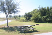 From the side of campsite #21 - Ground is scattered with green and brown grass, limited shade is provided by small oak trees.  Picnic table and circular ground grill are visible in center of photo.
