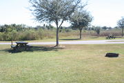 At the back of campsite #21 looking towards road â Ground cover is green and brown grass.  Far left of photo is a picnic table and in the far right of photo is a circular ground grill.