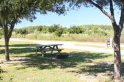 At the back of campsite #22, looking towards campground road - Ground cover is green and brown grass, with patches of grey soil.  Partial shade is provided by small oak trees.  Picnic table, circular ground grill are visible in the center of photo.