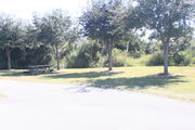 Looking at campsite #22 from opposite side of road â Ground cover is green and brown grass.  Small oak trees providing sparse shade near the back of site.  On the far left of photo are a picnic table and circular ground grill.