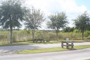 Looking at campsite #24 from opposite side of road â Ground cover is green and brown grass.  Small oak trees providing sparse shade near the back of site.  In the center of the photo from left to right are a picnic table, circular ground grill and electric hookup and water spigot.
